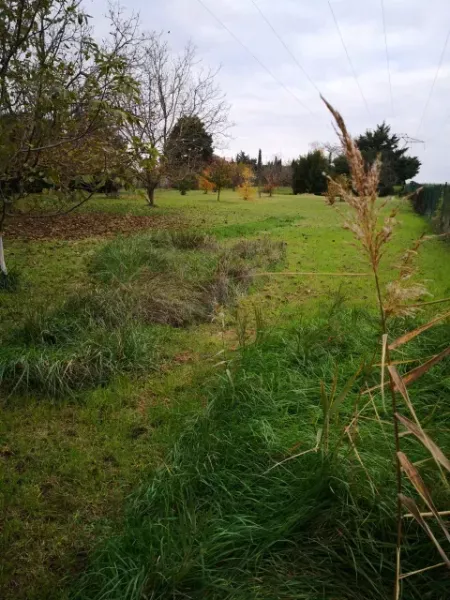 automne antre des vices