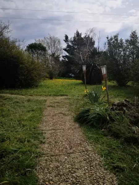 printemps antre des vices