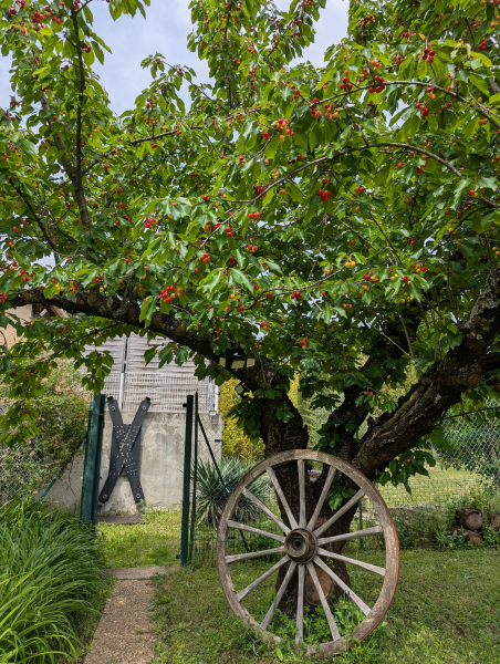 printemps antre des vices