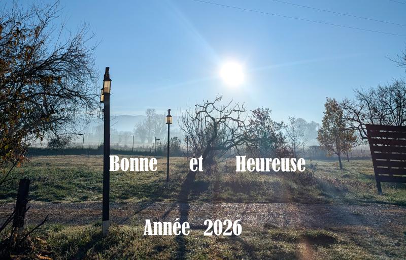 voeux 2026 1